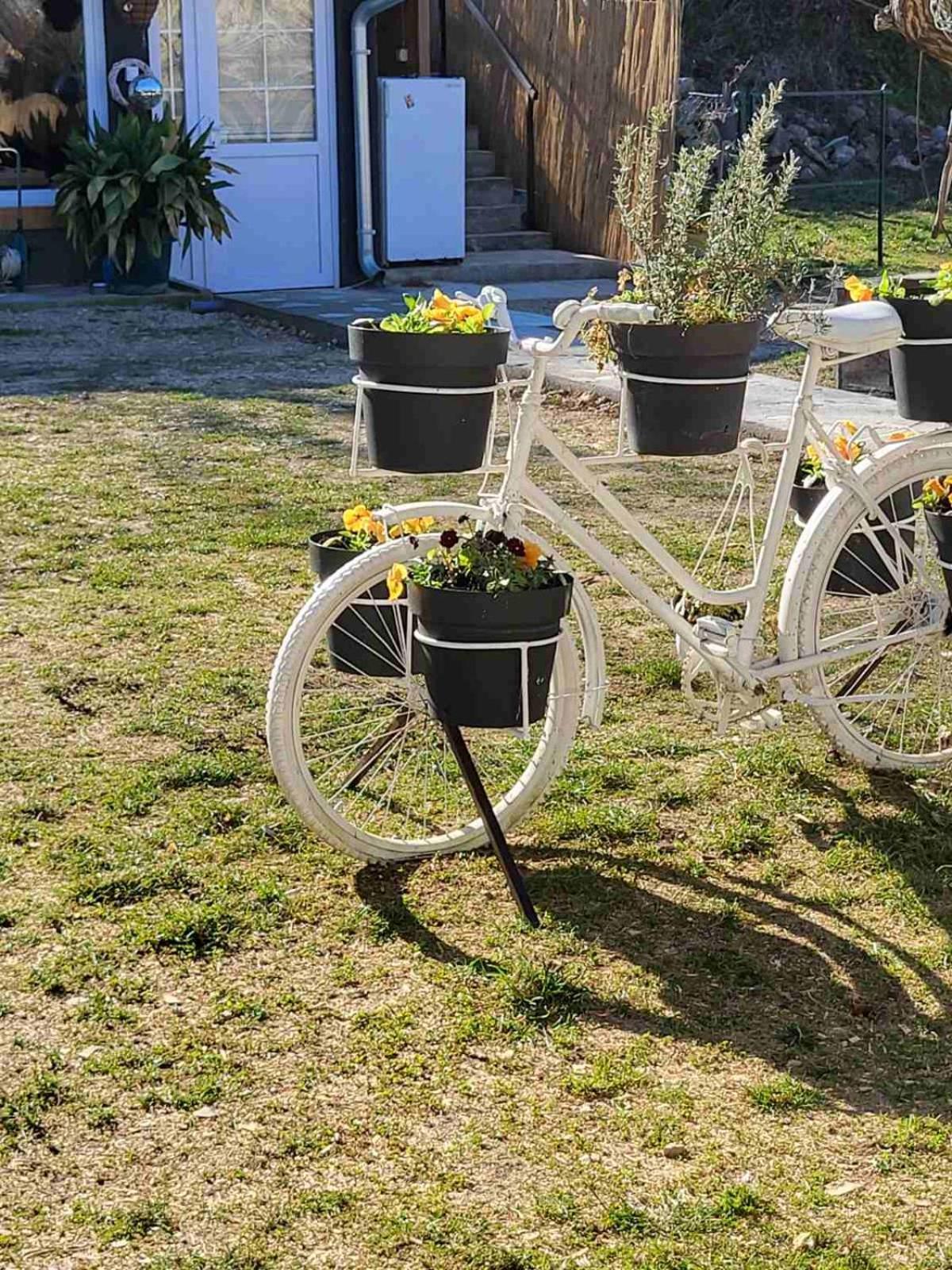 Apartman Barka Golubac Exterior photo
